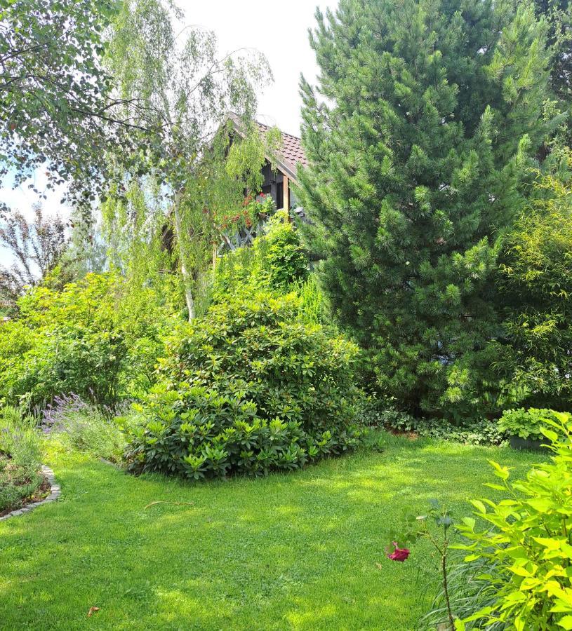 Apartament Drozdzikowka Zywiec Luaran gambar