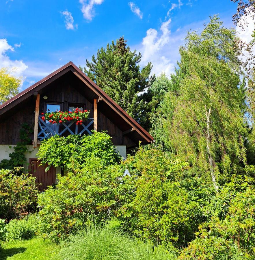 Apartament Drozdzikowka Zywiec Luaran gambar